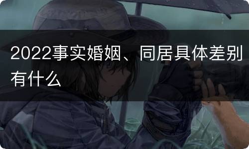2022事实婚姻、同居具体差别有什么