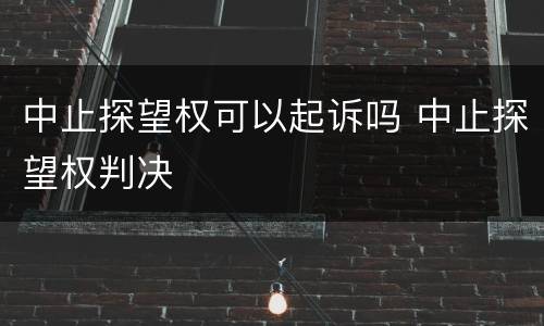 中止探望权可以起诉吗 中止探望权判决