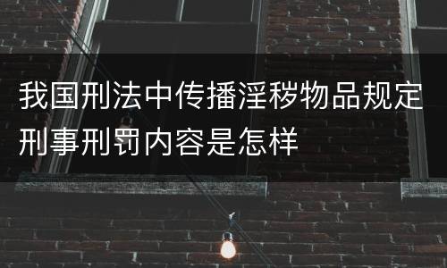 我国刑法中传播淫秽物品规定刑事刑罚内容是怎样