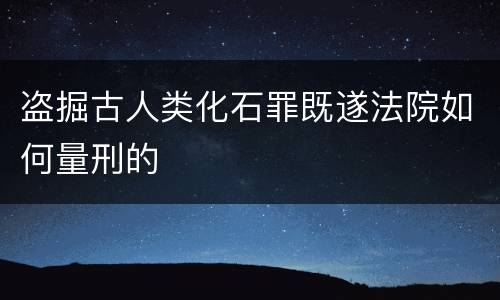盗掘古人类化石罪既遂法院如何量刑的