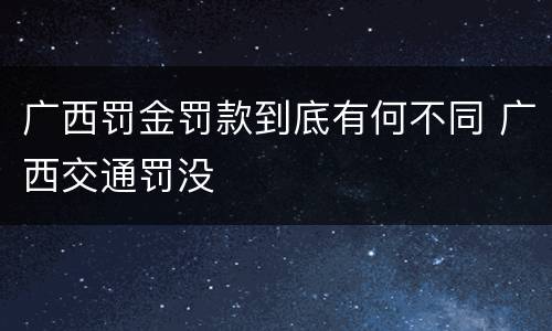 广西罚金罚款到底有何不同 广西交通罚没