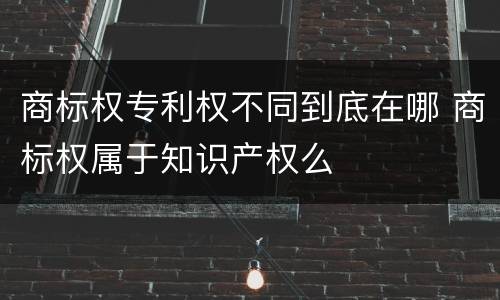 商标权专利权不同到底在哪 商标权属于知识产权么
