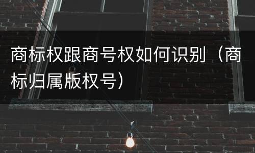 商标权跟商号权如何识别（商标归属版权号）