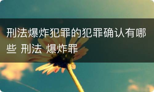 刑法爆炸犯罪的犯罪确认有哪些 刑法 爆炸罪