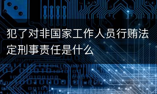 犯了对非国家工作人员行贿法定刑事责任是什么
