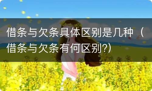 借条与欠条具体区别是几种（借条与欠条有何区别?）