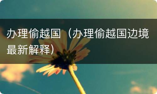 办理偷越国（办理偷越国边境最新解释）