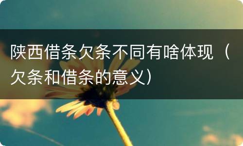 陕西借条欠条不同有啥体现（欠条和借条的意义）