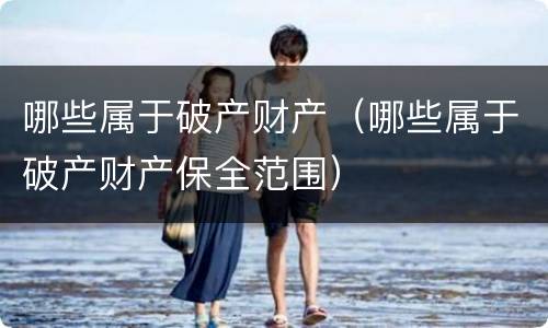 哪些属于破产财产（哪些属于破产财产保全范围）