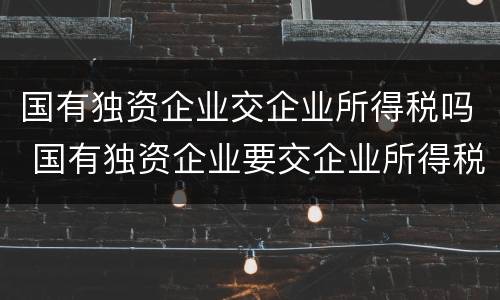 国有独资企业交企业所得税吗 国有独资企业要交企业所得税吗