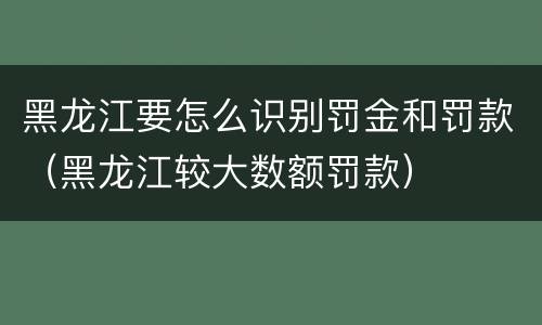 黑龙江要怎么识别罚金和罚款（黑龙江较大数额罚款）
