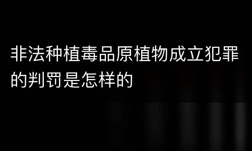 非法种植毒品原植物成立犯罪的判罚是怎样的