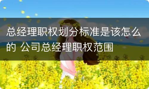 总经理职权划分标准是该怎么的 公司总经理职权范围