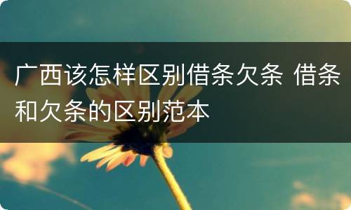 广西该怎样区别借条欠条 借条和欠条的区别范本