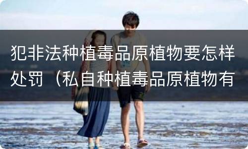 犯非法种植毒品原植物要怎样处罚（私自种植毒品原植物有什么罪?）