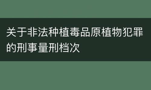 关于非法种植毒品原植物犯罪的刑事量刑档次