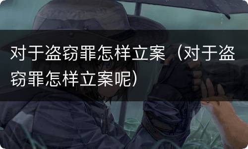 对于盗窃罪怎样立案（对于盗窃罪怎样立案呢）