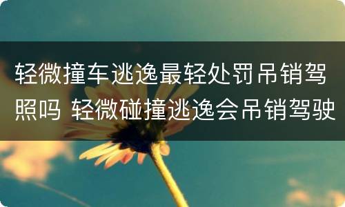轻微撞车逃逸最轻处罚吊销驾照吗 轻微碰撞逃逸会吊销驾驶证吗