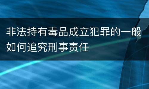 非法持有毒品成立犯罪的一般如何追究刑事责任