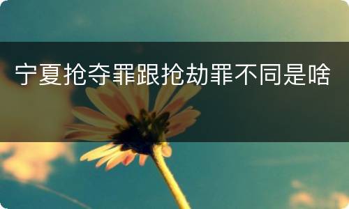宁夏抢夺罪跟抢劫罪不同是啥
