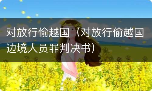 对放行偷越国（对放行偷越国边境人员罪判决书）