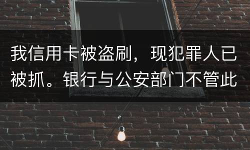 我信用卡被盗刷，现犯罪人已被抓。银行与公安部门不管此事。我如何能取回款项呢项呢