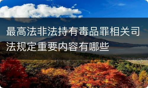 最高法非法持有毒品罪相关司法规定重要内容有哪些