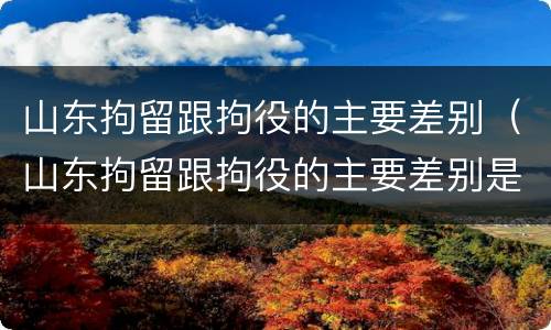 山东拘留跟拘役的主要差别（山东拘留跟拘役的主要差别是什么）