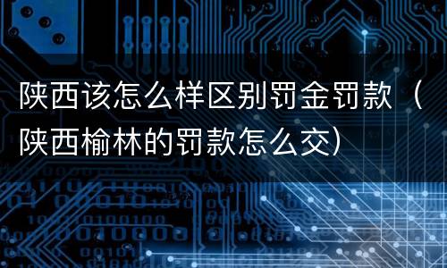 陕西该怎么样区别罚金罚款（陕西榆林的罚款怎么交）