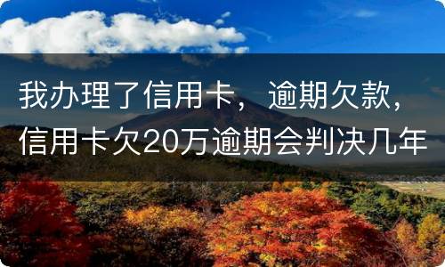 我办理了信用卡，逾期欠款，信用卡欠20万逾期会判决几年