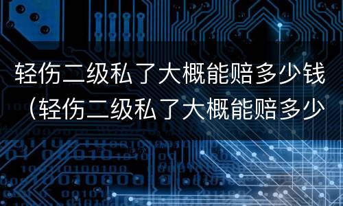 轻伤二级私了大概能赔多少钱（轻伤二级私了大概能赔多少钱一天）