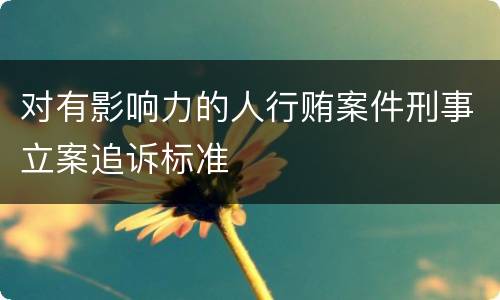 对有影响力的人行贿案件刑事立案追诉标准