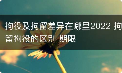 拘役及拘留差异在哪里2022 拘留拘役的区别 期限
