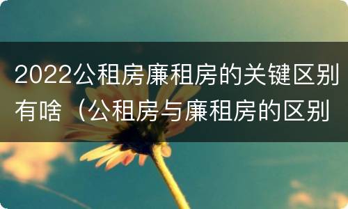 2022公租房廉租房的关键区别有啥（公租房与廉租房的区别都在此,别再搞错了!）