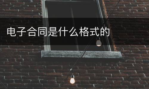 电子合同是什么格式的