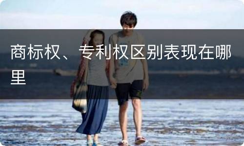 商标权、专利权区别表现在哪里