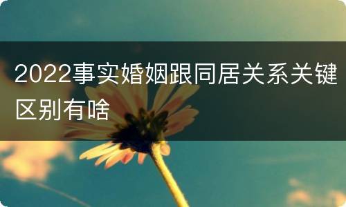 2022事实婚姻跟同居关系关键区别有啥