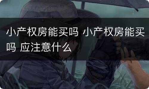 小产权房能买吗 小产权房能买吗 应注意什么