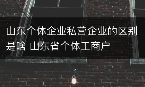 山东个体企业私营企业的区别是啥 山东省个体工商户