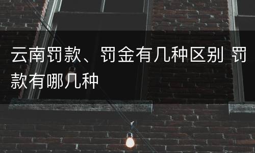 云南罚款、罚金有几种区别 罚款有哪几种