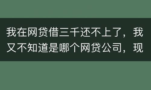 我在网贷借三千还不上了，我又不知道是哪个网贷公司，现在他们起诉我了，我会坐牢吗