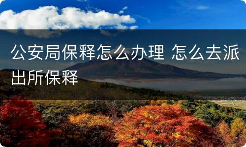 公安局保释怎么办理 怎么去派出所保释