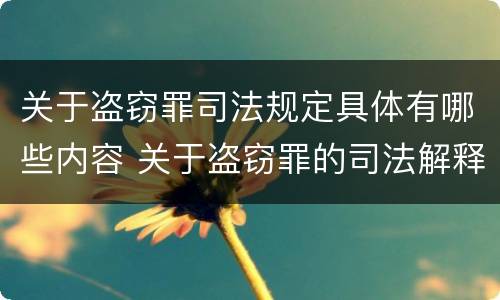 关于盗窃罪司法规定具体有哪些内容 关于盗窃罪的司法解释