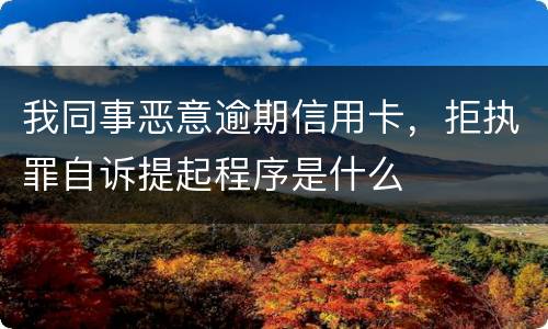 我同事恶意逾期信用卡，拒执罪自诉提起程序是什么