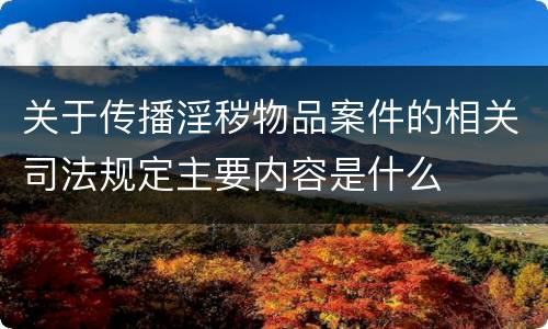 关于传播淫秽物品案件的相关司法规定主要内容是什么