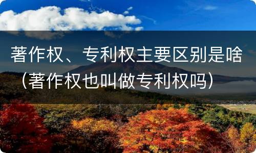 著作权、专利权主要区别是啥（著作权也叫做专利权吗）