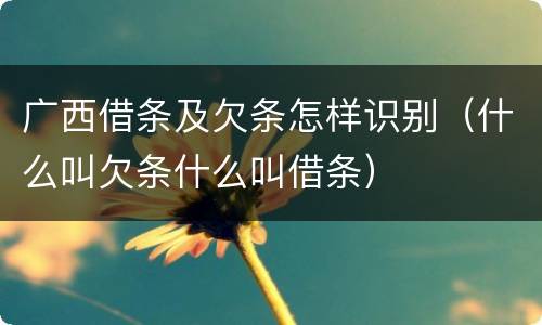 广西借条及欠条怎样识别（什么叫欠条什么叫借条）