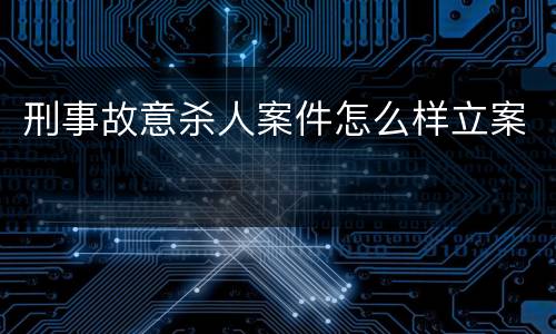 刑事故意杀人案件怎么样立案