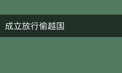 成立放行偷越国