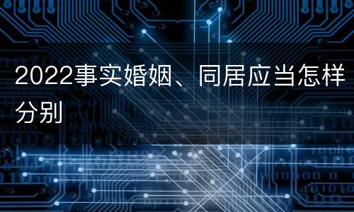 2022事实婚姻、同居应当怎样分别